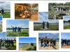 Geslaagd_2026-1