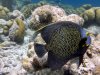 IMG_1698-scaled