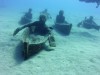 Museo Atlantico  Lanzarote  Juli 2019