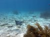 SportDiver_20260519_123107