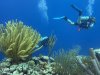 SportDiver_20260520_094241