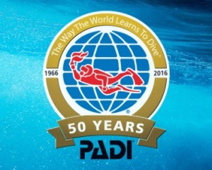 padi50